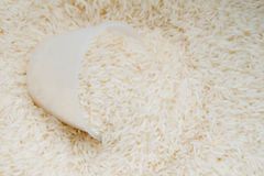 Premium Long Grain White Rice (5% Broken, Double Polished) — Bulk Export Supply - Image 2