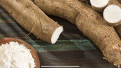 Tapioca Starch-High Quality Food Grade for Baking & Food Industry – product photo 2, product detail gallery
