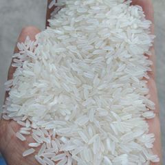 Jasmine Rice 5% broken – product photo 1, product detail gallery