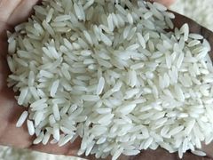 Factory Direct Supplier Very Low Price Rice Cheap Wholesale 100% Pure Fresh Basmati Rice for Sale Discounted Prices - Image 4