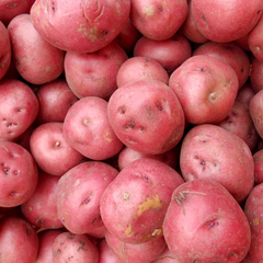 POTATO – product photo 2, product detail gallery