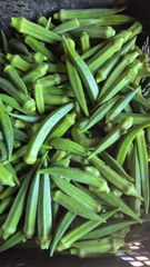 Vegetables – product photo 10, product detail gallery