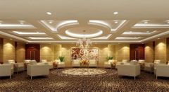 Ceiling Designs Banquet Halls Texture Glossy Finish Mirror Like Toxicity Non-toxic Design Type Customized Durability Highly - True Value Interiors