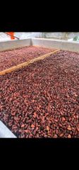 Grade A cocoa beans – product photo 4, product detail gallery