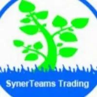 Synerteams Trading Co., Ltd.