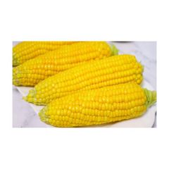 Industrial Ethanol Brazil frozenchickenexports.com - Image 3