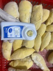 Frozen whole durian - Variety: Monthong – product photo 2, product detail gallery