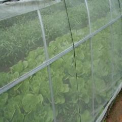 40 Mesh Protective Agriculture Insect Price Drying Nets Anti Bird Mosquito Net Netting - Image 6