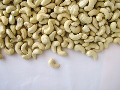 Company – thumbnail 2 of 8, supplier detail gallery