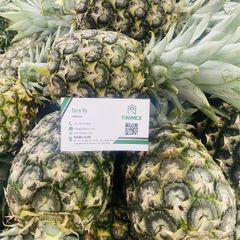 Natural Fresh Juicy Pineapple/ Sweet MD2 Pineapple Fruits/ Fresh Whole Pineapple (WA 0084366808683) - Image 1