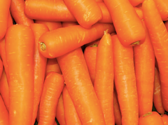 Fresh Carrot - Image 4