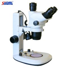 Portable Electronic Microscope Biological with Microscope Slides - Image 5
