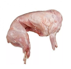Frozen Rabbit Meat - High Quality and Tender Grade A Color White Fat Content Low Antibiotic Use No Max. Moisture (%) 5 Protein Content High - Image 1