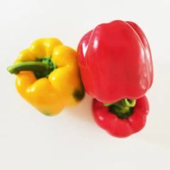 China Origin High Quality Red/Yellow/Green Fresh Bell Pepper - Image 1
