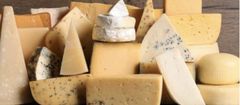 Cheese