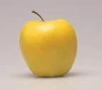 Golden Apple Origin Upper Parts Of Himachal - India Color Green When Unripe, Golden When - Image 1