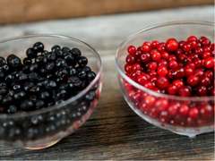 Frozen Wild Blueberry - Image 3