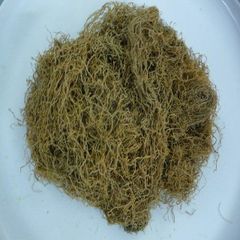 MANY KIND OF SEAWEEDS WITH BEST QUALITY Type Seaweed Model Number GW14 Packaging Details BAG Place of Origin Ho Chi Minh City, - Image 1