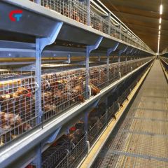 Aumotic New Technology Battery Layer Chicken Animal Cage - Image 4