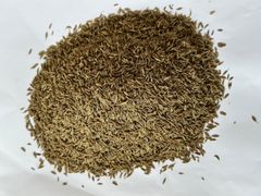 Cumin Seed – product photo 2, product detail gallery