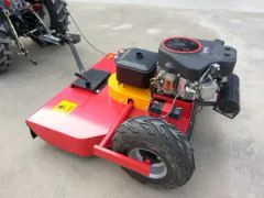 Versatile Brush Cutter with Powerful Engine for Tough Jobs - Changzhou Weisen Intelligent Equipment Co., Ltd