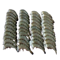 Frozen Seafood of Tiger Prawn from Indonesia Sea From 10 to 25 kg with IIQF/BQF, and master cartoon packing - Image 1