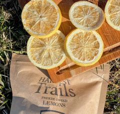 Freeze Dried Lemon Slices Shape Slices Taste Sour&sweet Thickness 0.5 Cm Shelf Life 2 YEARS Size Diameter: 5-7cm Place of Origin THAILAND - Image 4