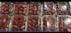 Strawberry – product photo 1, product detail gallery