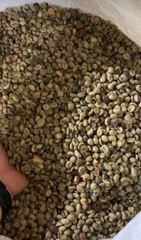 Robusta Coffee - Image 8