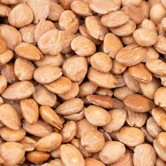 Export Marcona Almonds Premium Grade Whole Kernels Clean Fresh High Nutrition Suitable For International Buyers And Gourmet Food Supply Buy Now Fast Delivery Premium Quality Wholesale – product photo 5, product detail gallery