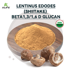 100% Natural Organic Herbal extract 50% mushroom powder shiitake mushroom extract - Image 3