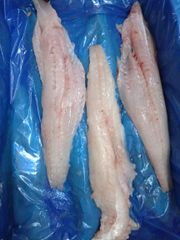 Frozen Hake Filet Merluccious Gayi Origin Ecuador Availability - Image 1