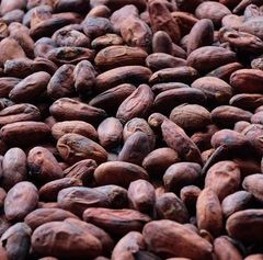 Cocoa Beans – product photo 2, product detail gallery