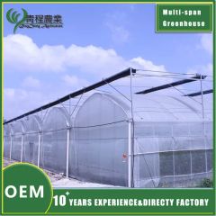 Premium Galvanized Steel Rectangular Profiles for Greenhouse Structures - Image 3