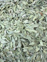 SENNA LEAVES - Image 1