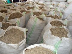 Hot sales Premium Cotton Seed Hull Animal Feed Grade A Ash ≤ 5% Moisture ≤ 12% Impurities ≤ 2% Type Cotton seed Oil Content ≤ 2% - Image 2