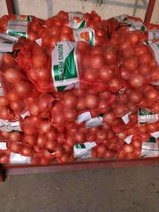 Fresh Yellow Onion from China Factory Size 5-8cm Packaging 20kg Mesh - Image 1