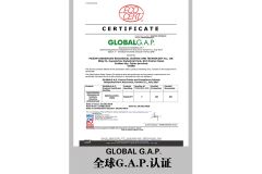 Global GAP Cert certificate from GANOHERB TECHNOLOGY(FUJIAN)CORPORATION
