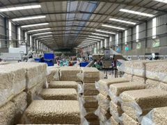 Cashew Nuts/ Cashew Kernels- W180 W240 W320 - Image 2