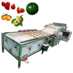 Durable Strawberry Washing Machine Fruit and Vegetable Processing Production Line - Image 1