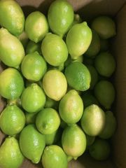 FRESH GREEN SEEDLESS LEMONS FOR SALE!! CLASS 1 EXPORT QUALITY EUREKA LEMONS FOR EXPORT – product photo 5, product detail gallery