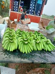 Fresh Banana – product photo 1, product detail gallery