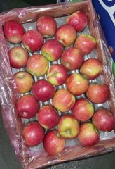 FRESH CRIPPS PINK APPLES FOR SALE!! CLASS 1 EXPORT QUALITY CRIPPS PINK APPLES READY FOR EXPORT – product photo 4, product detail gallery