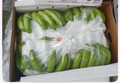 Fresh Green Banana - Image 5