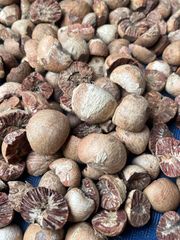 BETEL NUT SPLIT ARECA NUT – product photo 1, product detail gallery