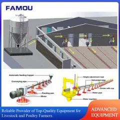 Poultry Broiler Feeding System Feed Pan in Chicken Floor Rearing Farm - Image 6