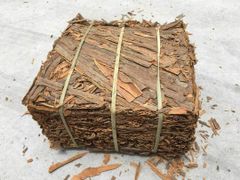 Cinnamon / Cassia - Image 2