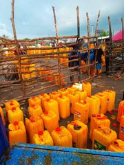 Crude palm oil - Image 2