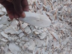 Premium Quality Dried Cassava Chips from Kenya – product photo 2, product detail gallery