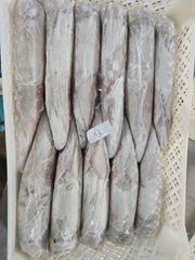 CALAMAR SQUID – product photo 1, product detail gallery